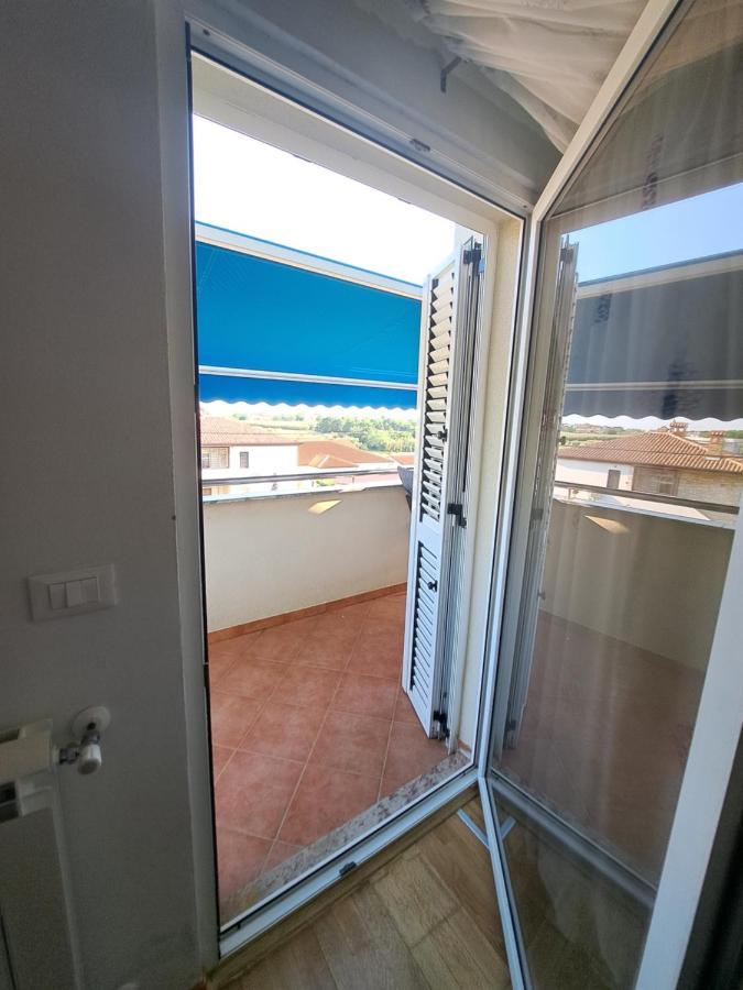 Casa Antonio With Swimming Pool Apartment Novigrad  Exterior photo