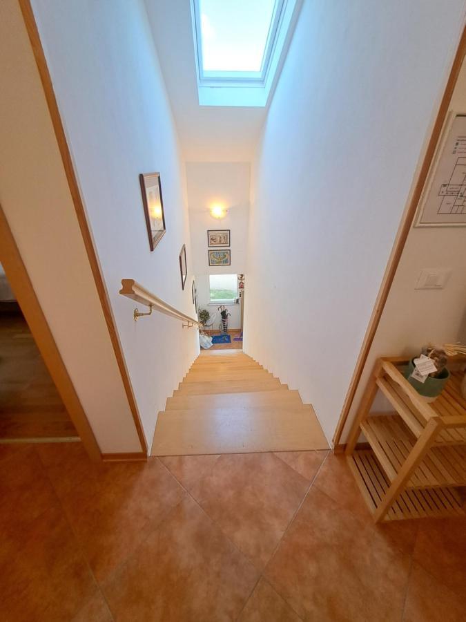 Casa Antonio With Swimming Pool Apartment Novigrad  Exterior photo