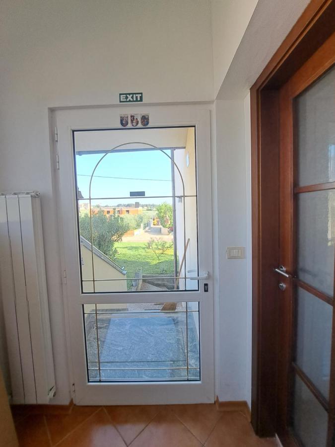 Casa Antonio With Swimming Pool Apartment Novigrad  Exterior photo